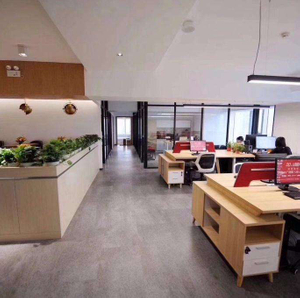 Tapis de sol en PVC de luxe pour immeuble de bureaux